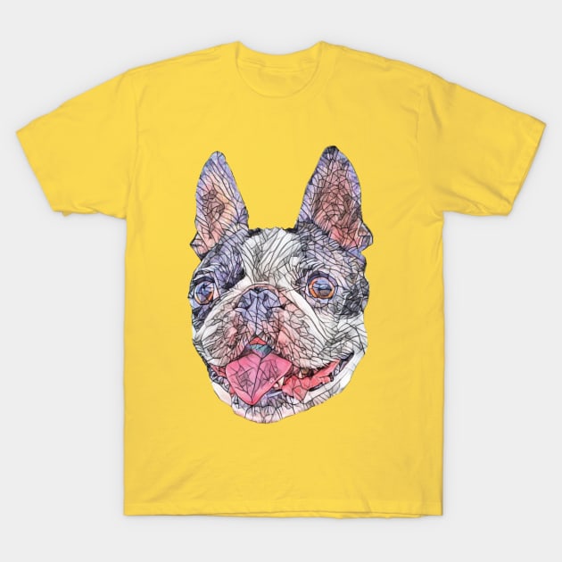 Boston Bull Terrier T-Shirt by DoggyStyles